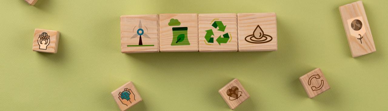 Business Ideas That Align with Sustainable Living